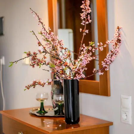 Appartement Athanasia *